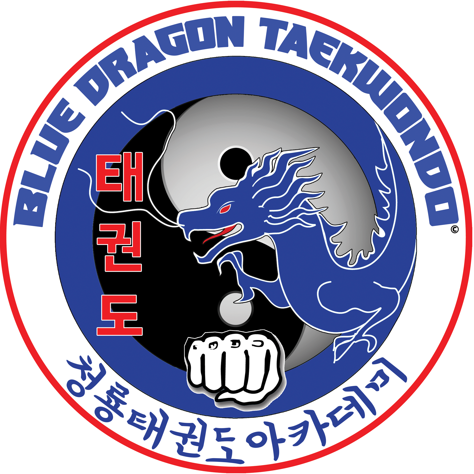 Blue Dragon Taekwondo Academy